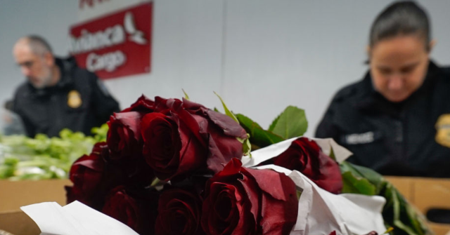 Colombia Triggers Security Concern with Valentine's Day Flowers Sent to U.S. Congress