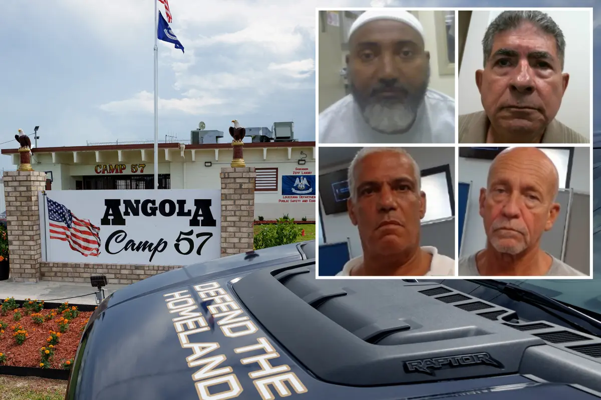 DHS criticizes 'activist judge' for freeing four illegal immigrants with past homicide and child sex crime records: 'Unacceptable behavior'