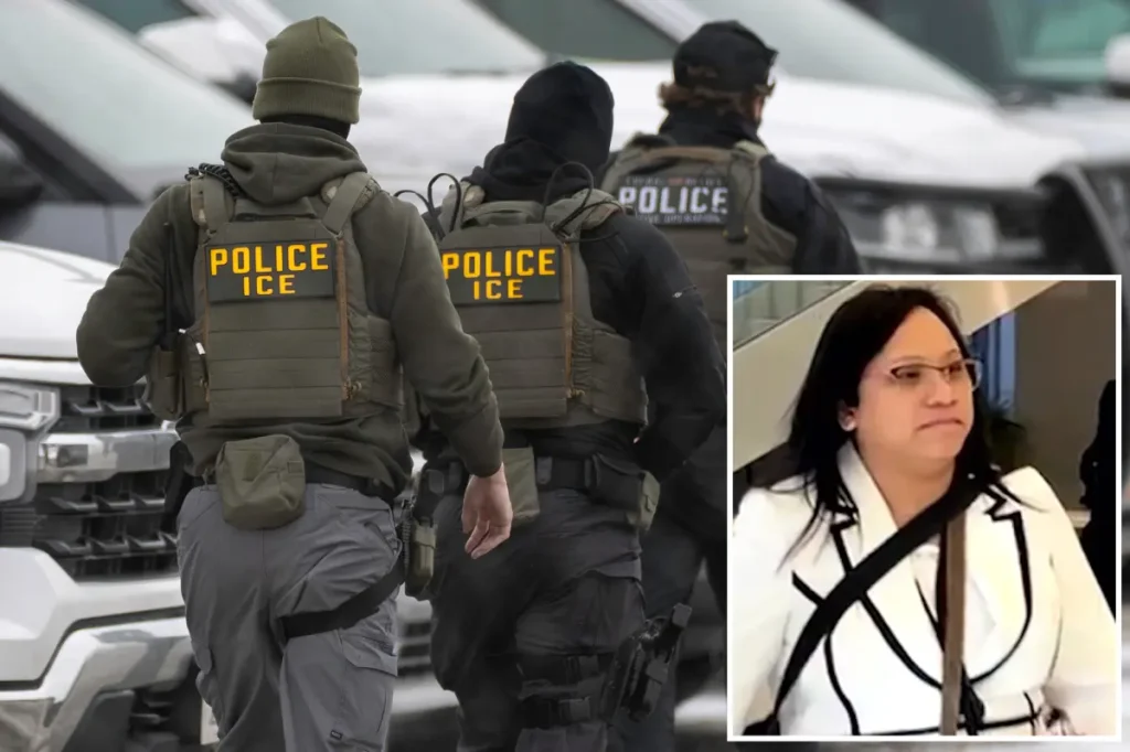 DHS lawyer Julie Le, who said to the judge that 'this job is terrible,' taken off the case