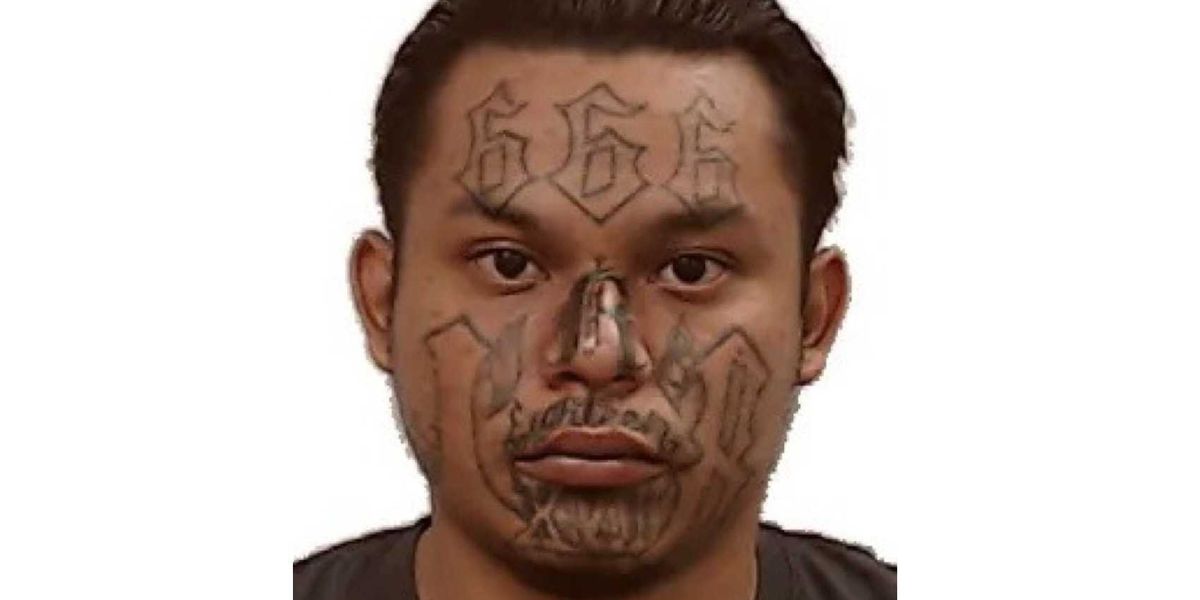 DHS responds to 'ridiculous' CBS report on 'nonviolent' illegal immigrants by highlighting serious cases