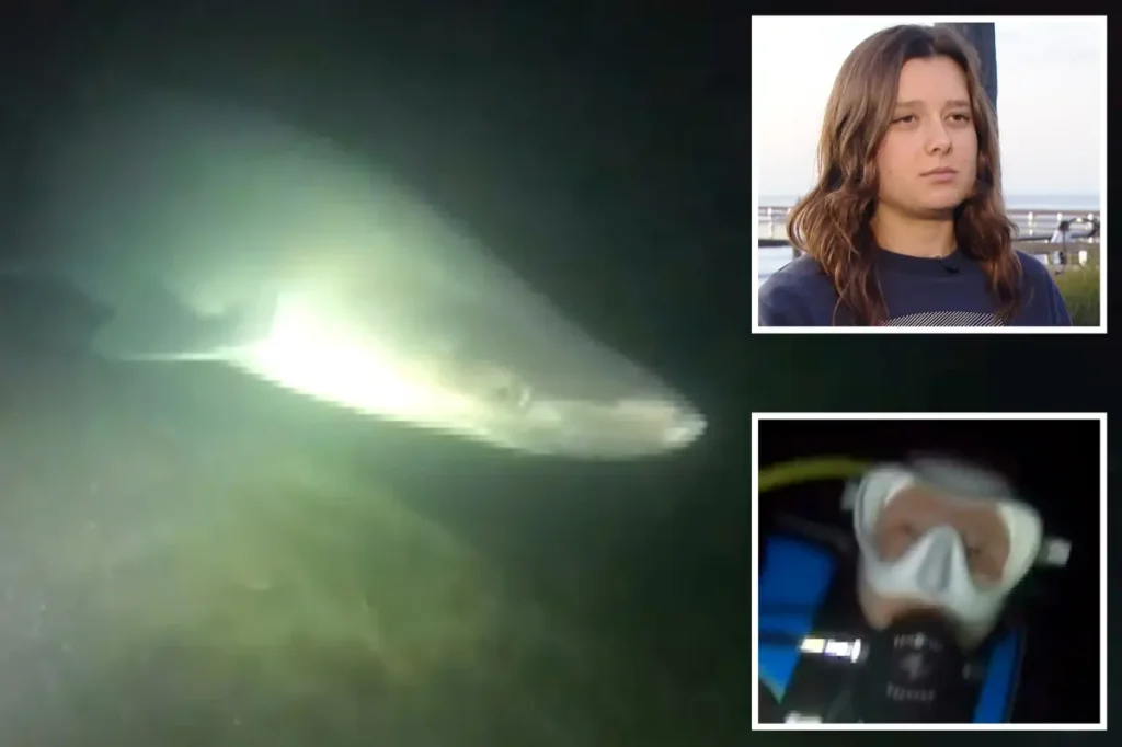 Divers encounter a very rare deep-sea shark off California: 'Frightening'