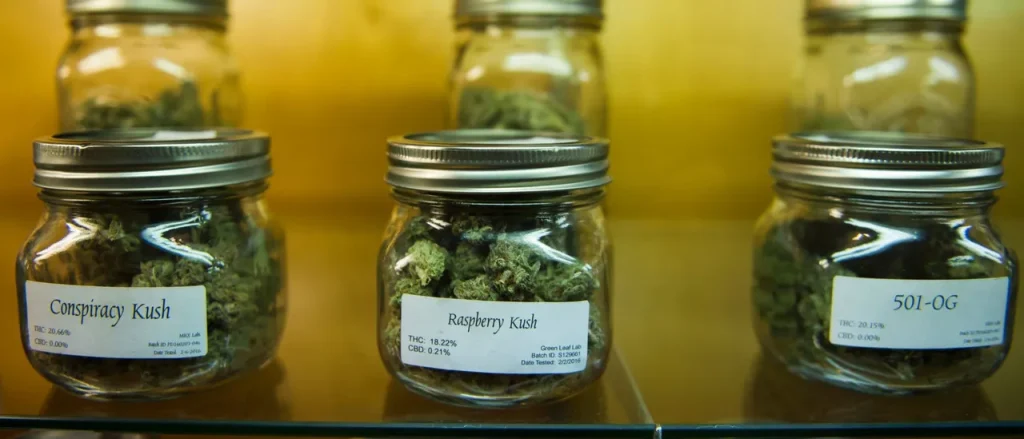 Editorial Board Acknowledges Error on Cannabis Issue