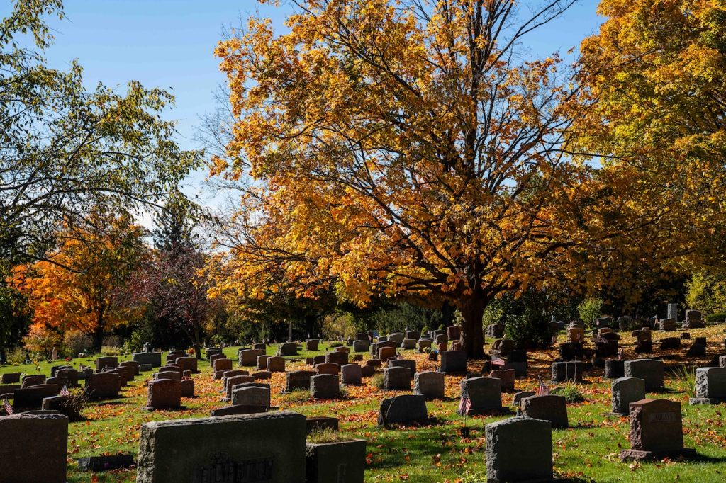 Explore the leading 10 reasons for death in Michigan