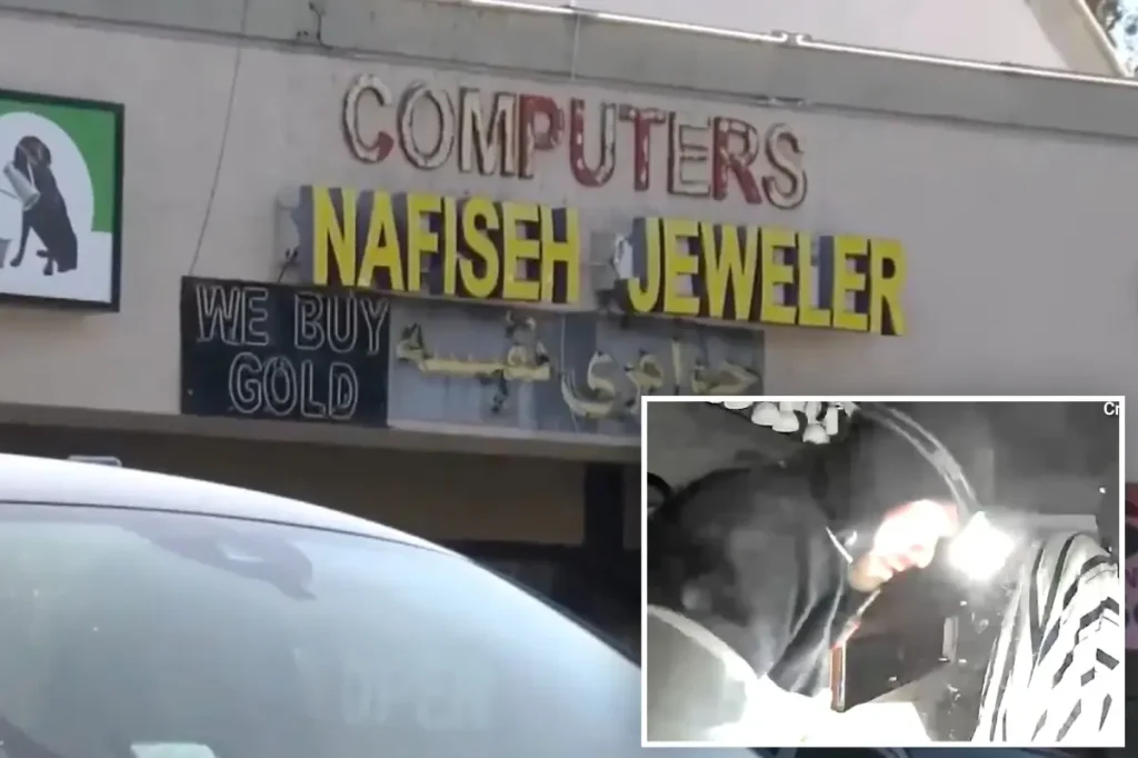 Footage captures bold thief entering jewelry store and stealing $100,000 in gems
