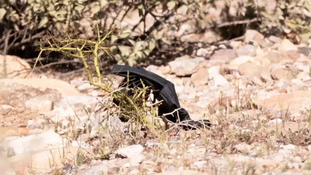 Gloves belonging to Nancy Guthrie discovered near Tucson home analyzed for DNA traces