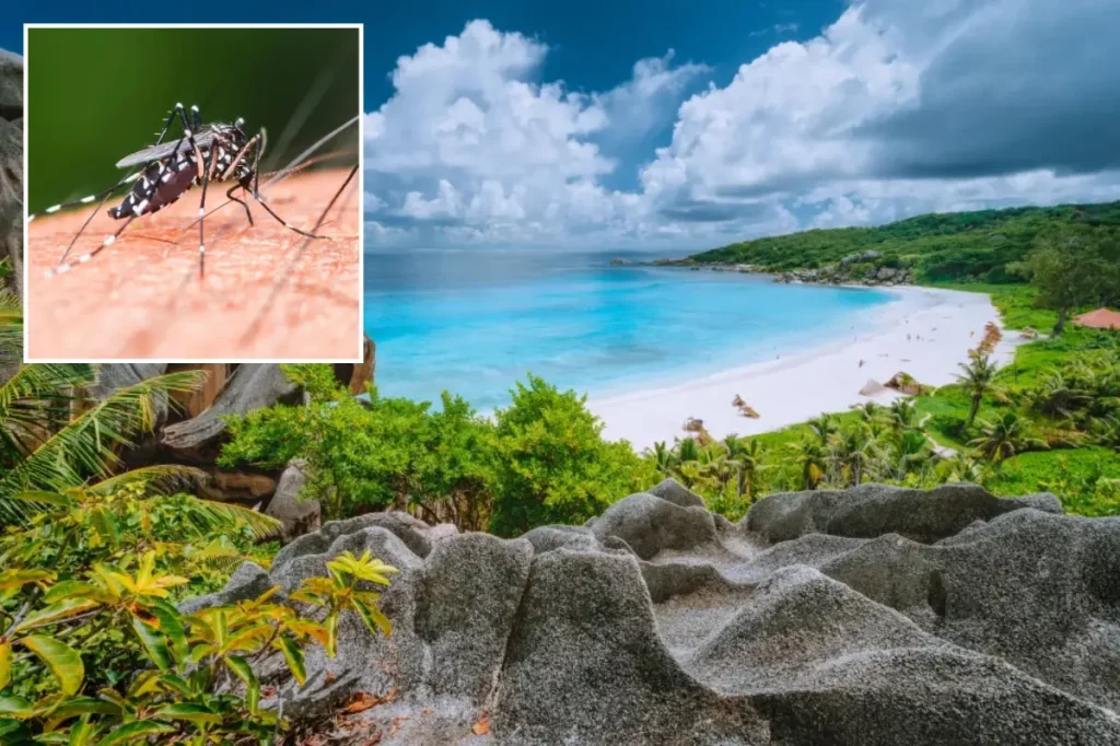 Health officials issue urgent travel alert after virus strikes popular island getaway