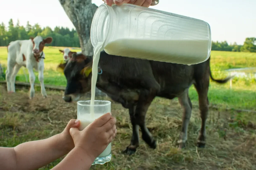 Health officials suggest mother's consumption of raw milk may have led to newborn baby's death.
