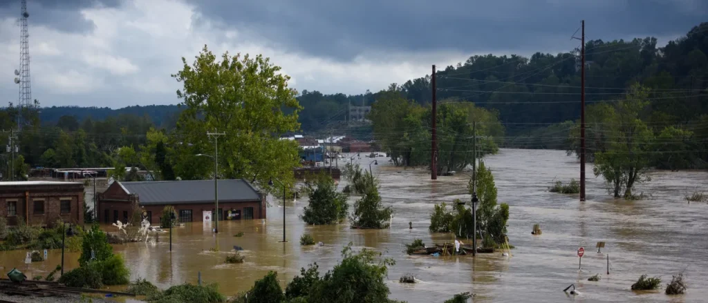 Hospital Builders Exemplify True Insanity