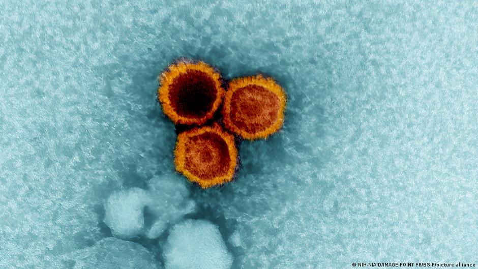 How the Epstein-Barr virus causes MS in certain individuals