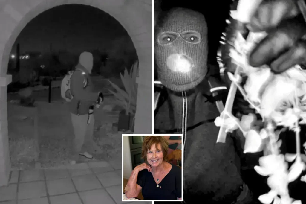 Important information that may reveal the identity of the suspect in the Nancy Guthrie case