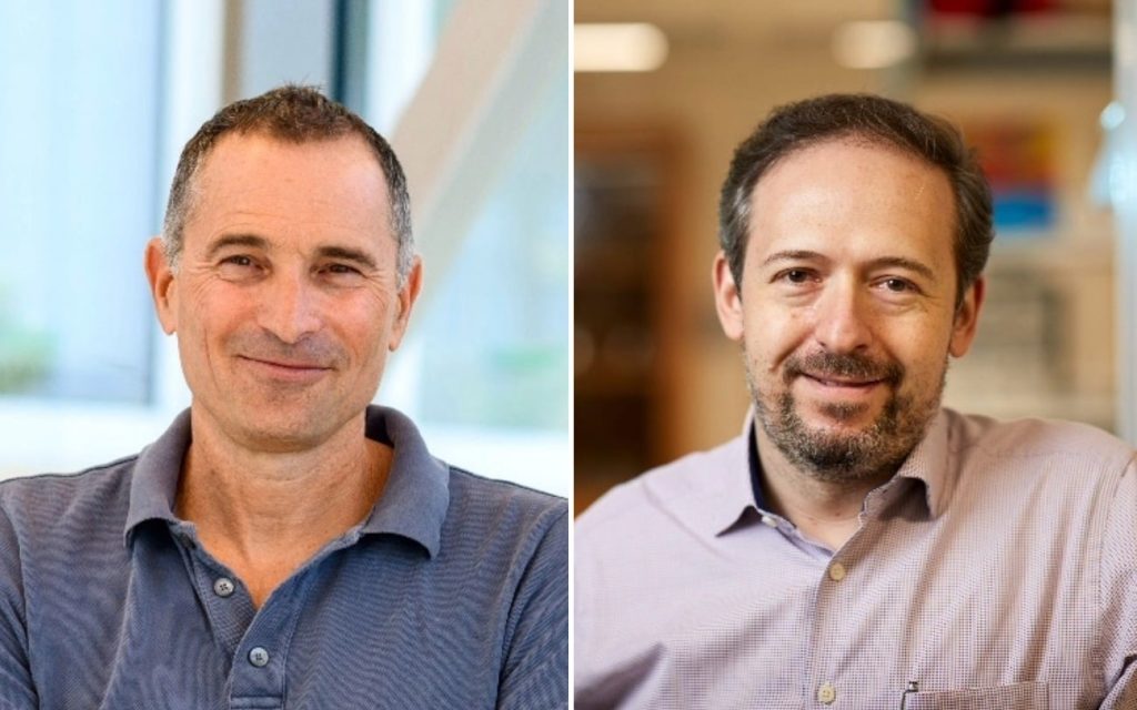 Israeli scientists apply blood cancer therapy to treat Alzheimer’s in mice for the first time.