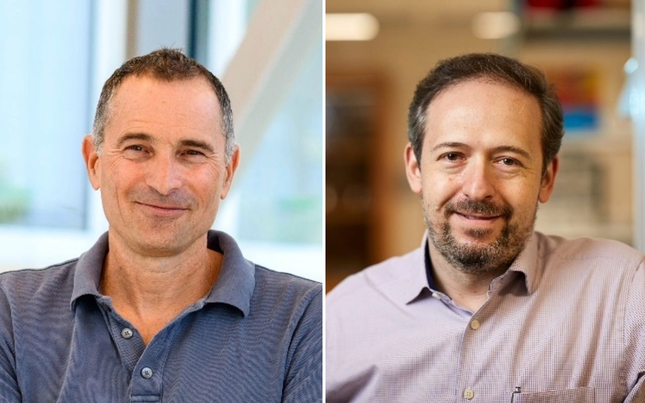 Israeli scientists apply blood cancer therapy to treat Alzheimer’s in mice for the first time.