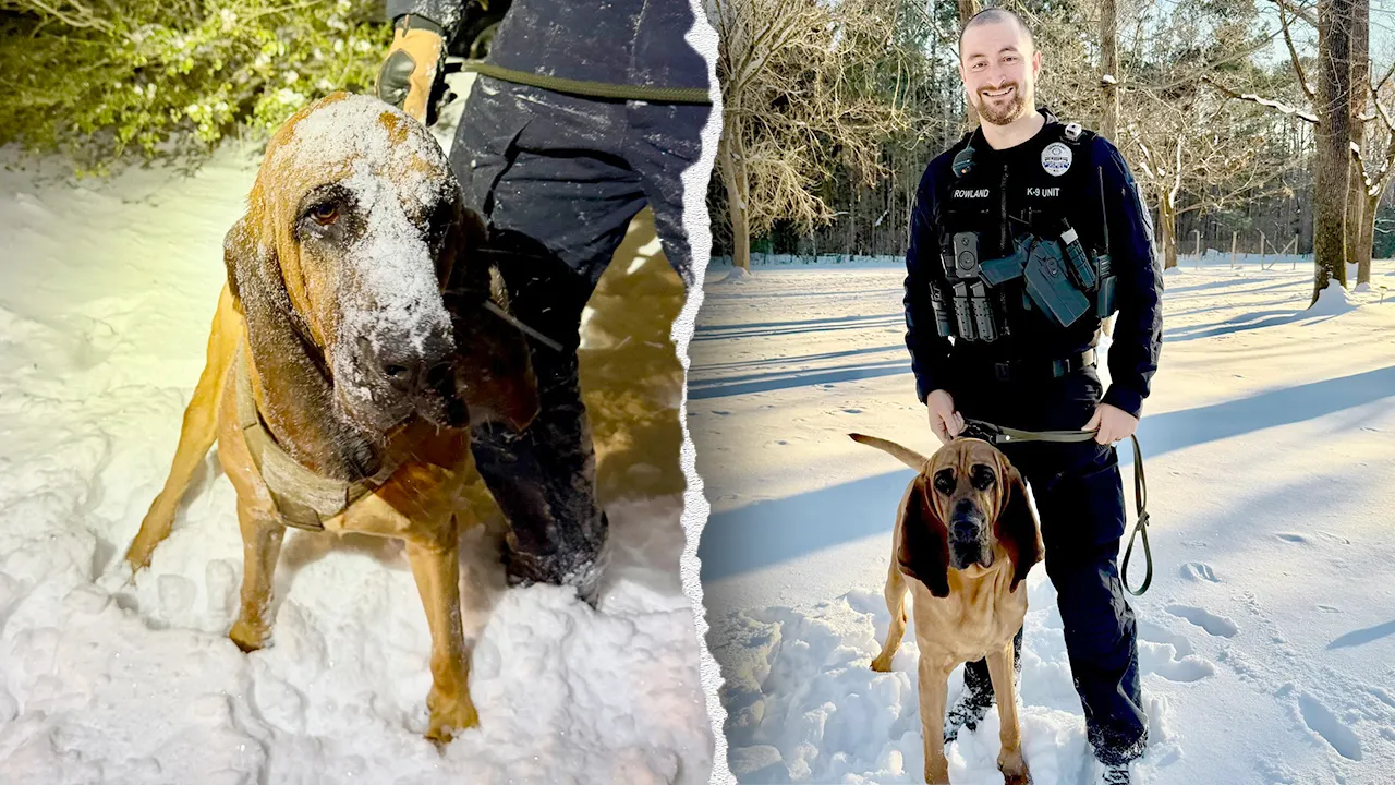 K-9 Bo locates missing 13-year-old with special needs during Gastonia snowstorm