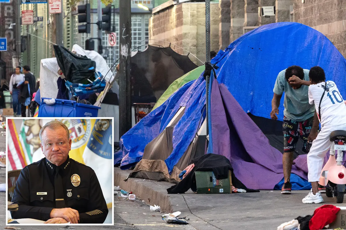 LAPD handles 40 calls each hour regarding homelessness