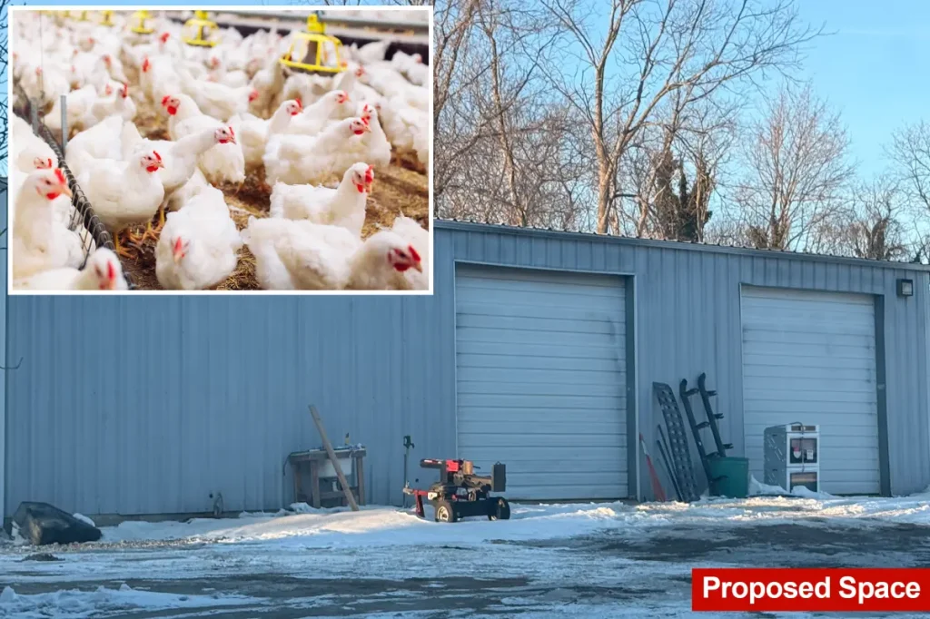 Long Islanders upset about proposal to build a farm with 6,000 chickens nearby: 'I’ll move'