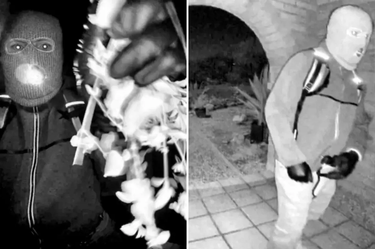 Main clues in Nancy Guthrie case indicating the suspected kidnapper is not 'a trained assassin': former FBI special agent