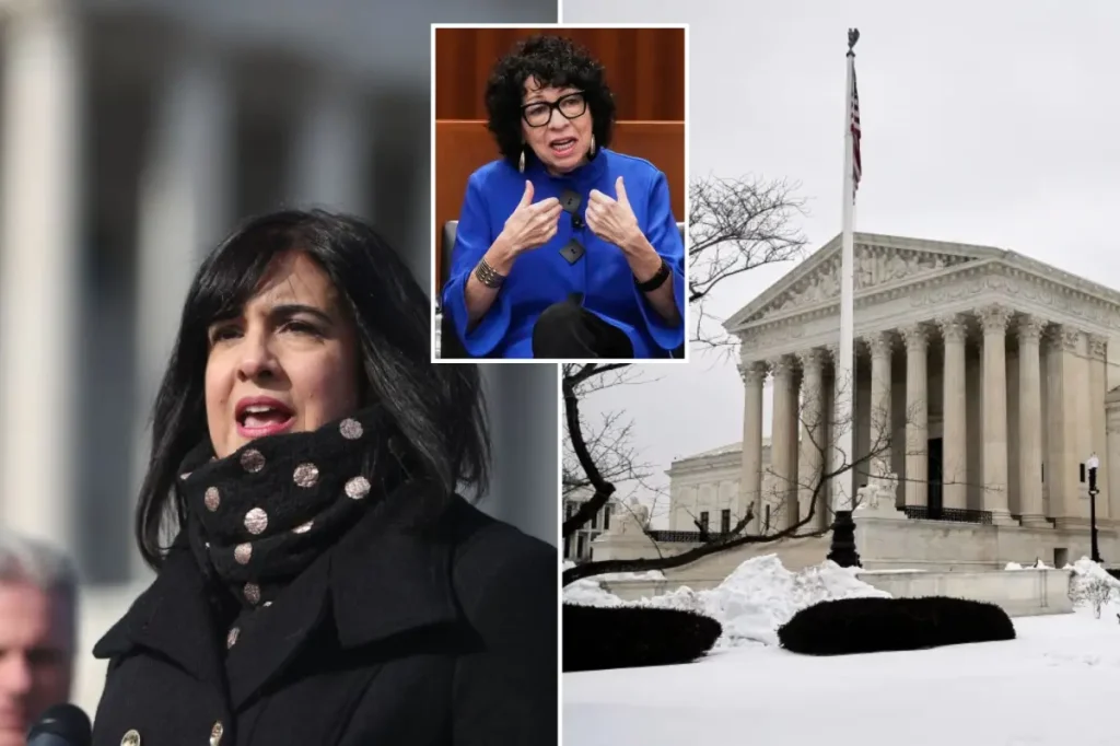 Malliotakis urges the Supreme Court to prevent Democrats from eliminating New York City's only Republican House seat