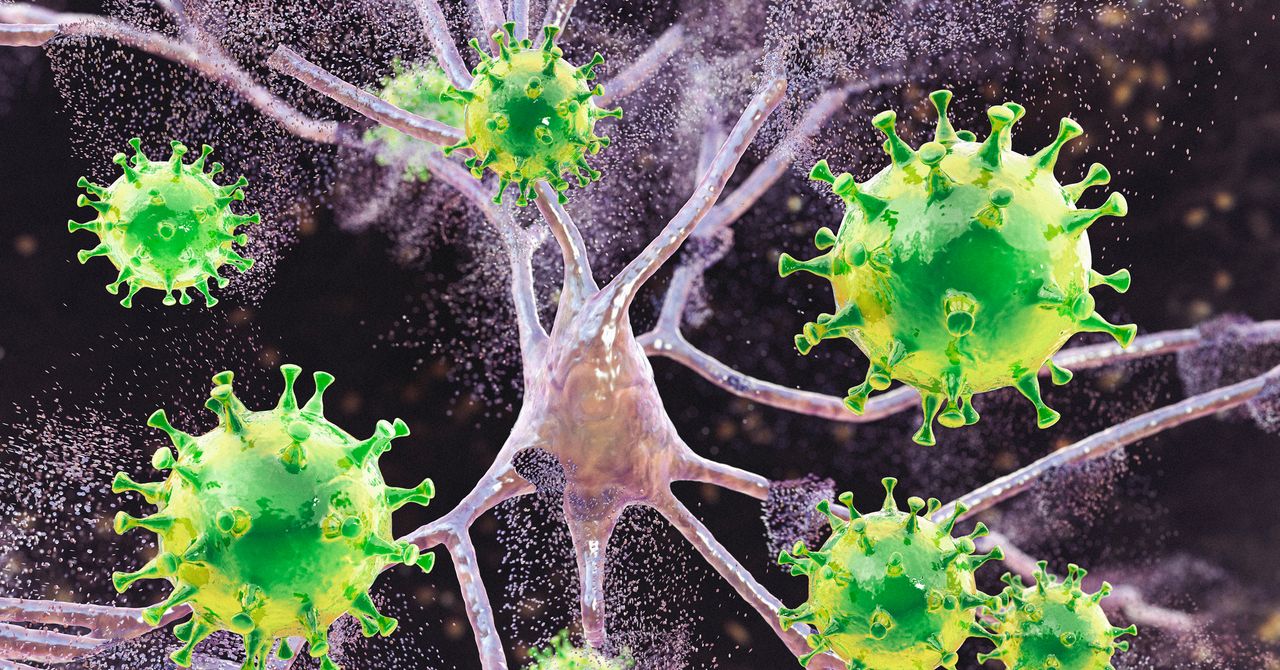 Measles Is Leading to Brain Swelling in Children in South Carolina