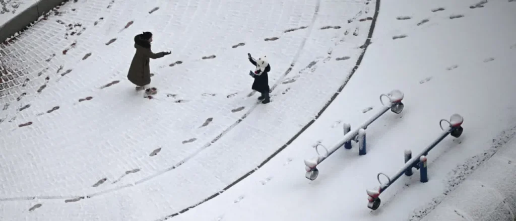 Measuring Political Success Through a Single Community Need