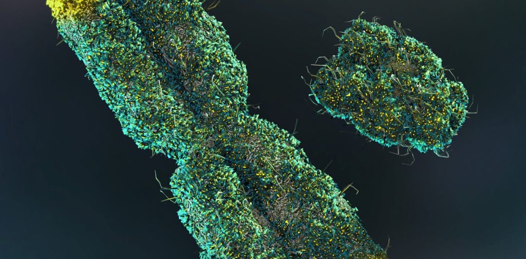 Men gradually lose their Y chromosome as they get older. Researchers believed it was insignificant, but we're now gaining more insights.