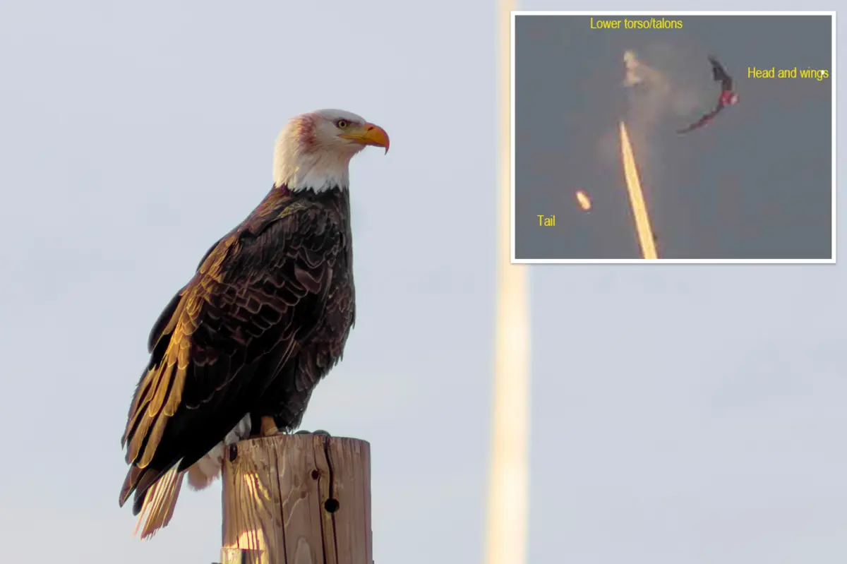 Minnesota renewable energy initiative penalized for eagle death