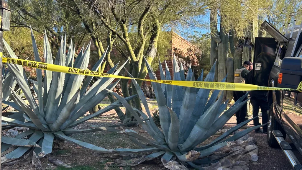 Nancy Guthrie is missing: FBI conducts searches at home and family properties in Rio Rico