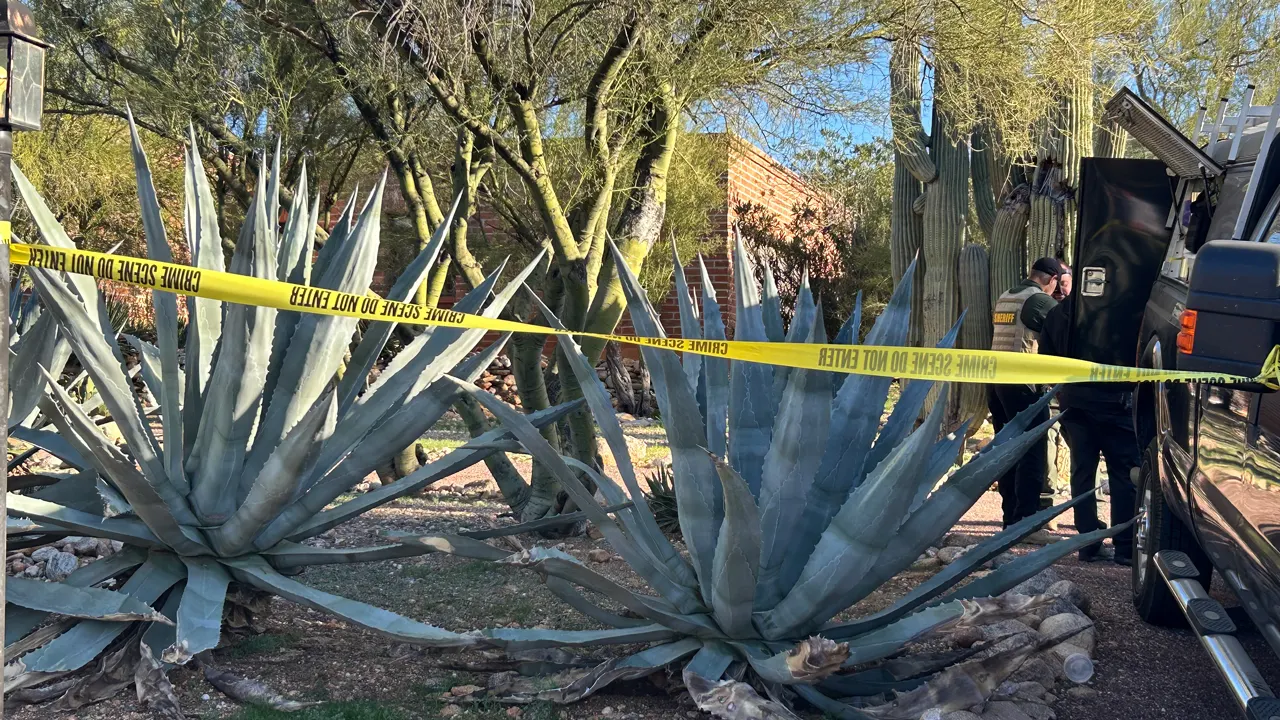 Nancy Guthrie is missing: FBI conducts searches at home and family properties in Rio Rico