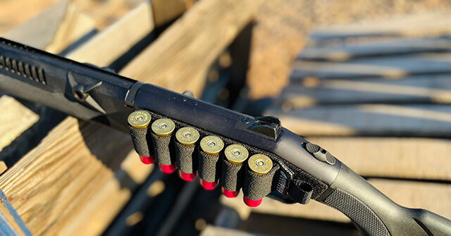 New Mexico Senate Democrats Approve Ban on Semiautomatic Weapons