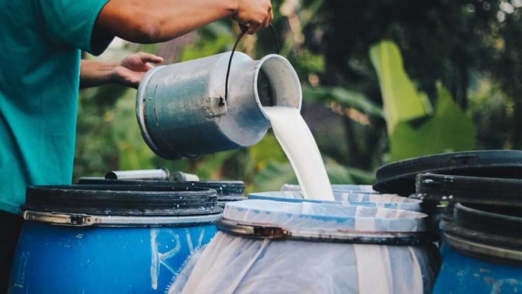 Newborn in New Mexico Dies After Mother Consumed Raw Milk, Leading to New Warnings