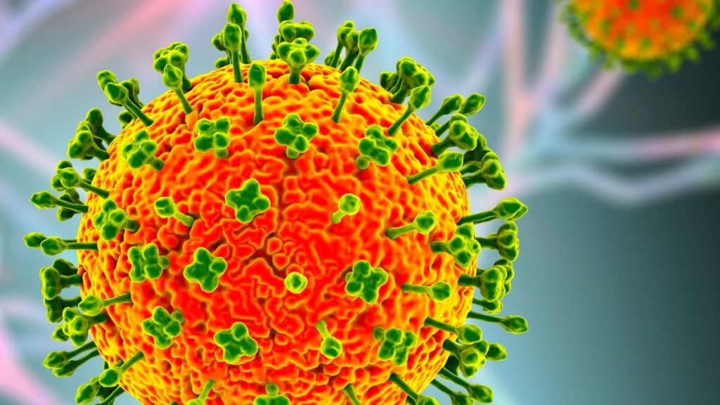 Nipah Virus Crisis Puts Asia on High Alert Following Deaths in India