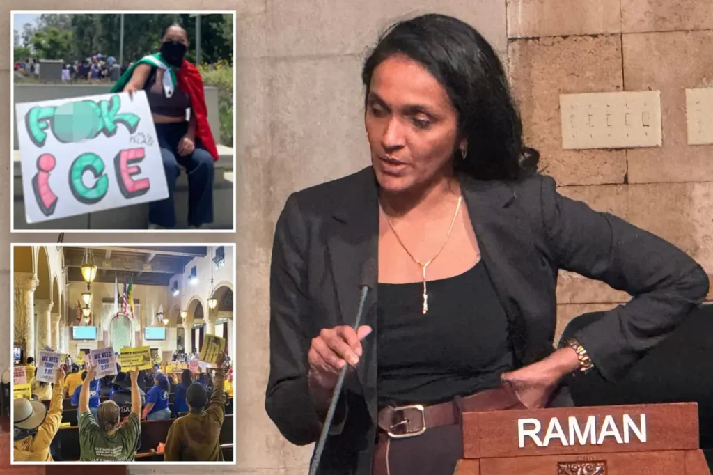 Nithya Raman, a candidate for LA Mayor, plans to support a $6.6 million contract for SAJE.