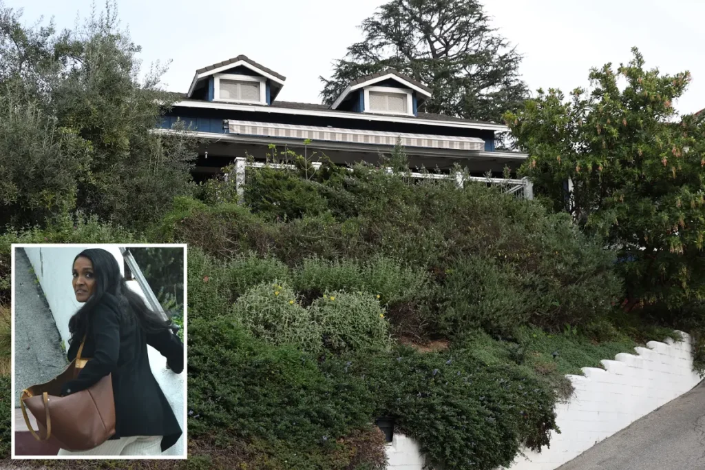 Nithya Raman, a skilled manipulator, seen at a $2M home in LA