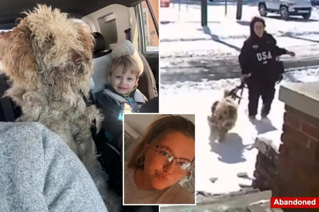 North Carolina woman Dason Garner charged and let go after saving abandoned dog in snowstorm