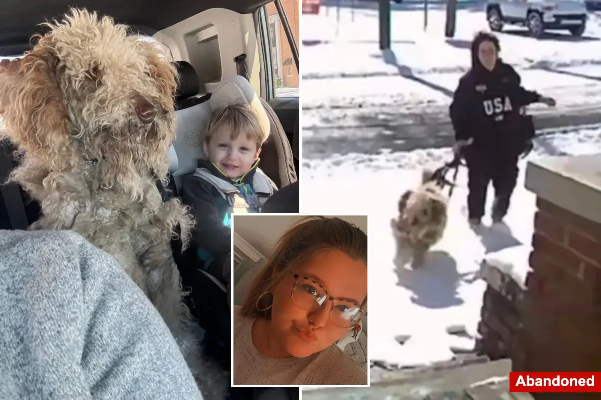 North Carolina woman Dason Garner charged and let go after saving abandoned dog in snowstorm