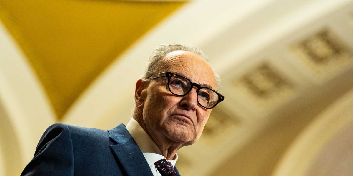 "Not viable from the start": Chuck Schumer states Democrats will fully commit to opposing voter ID bill