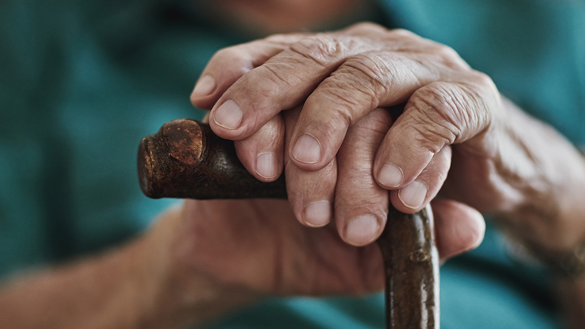 Our Understanding of the Influence of Genes on Lifespan Was Incorrect