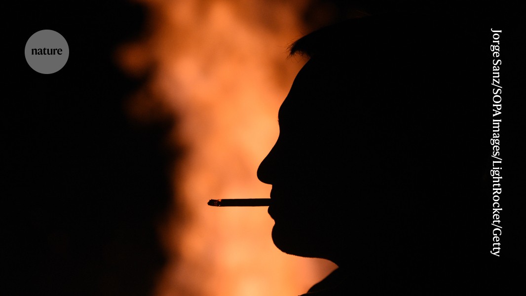 Over one-third of cancer cases can be avoided, extensive research shows