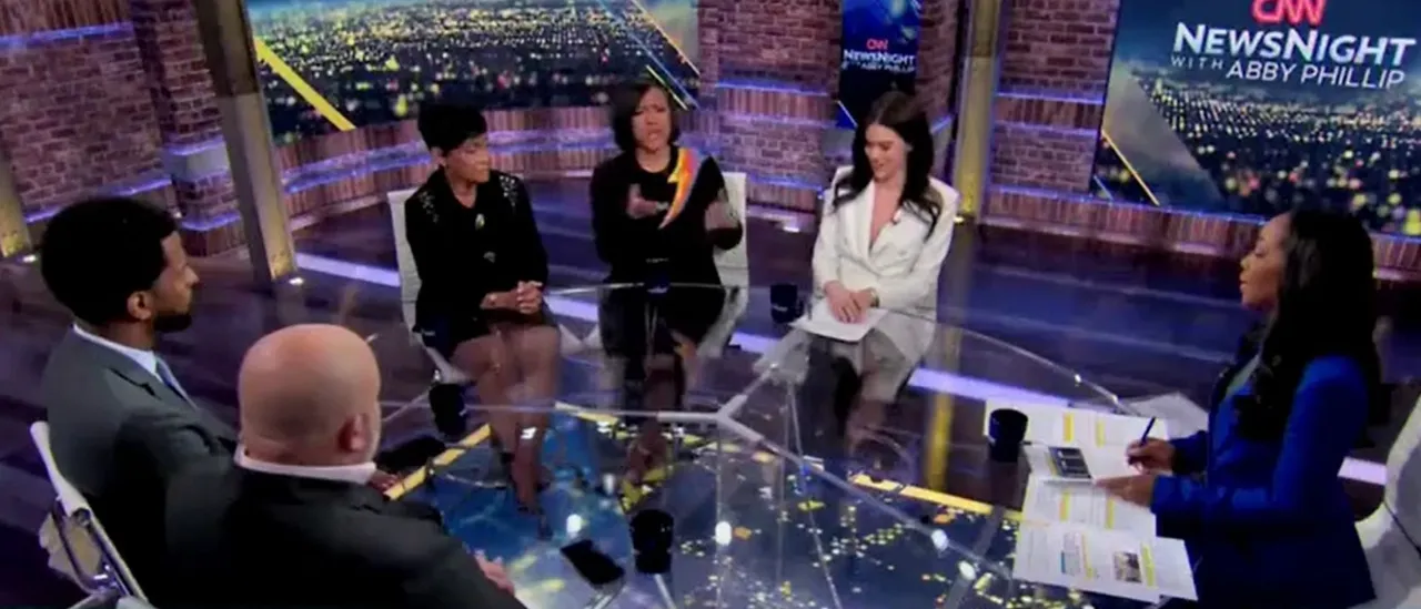 Panelist Silences Ex-MSNBC Host's Criticism of the SAVE Act with a Single Sentence