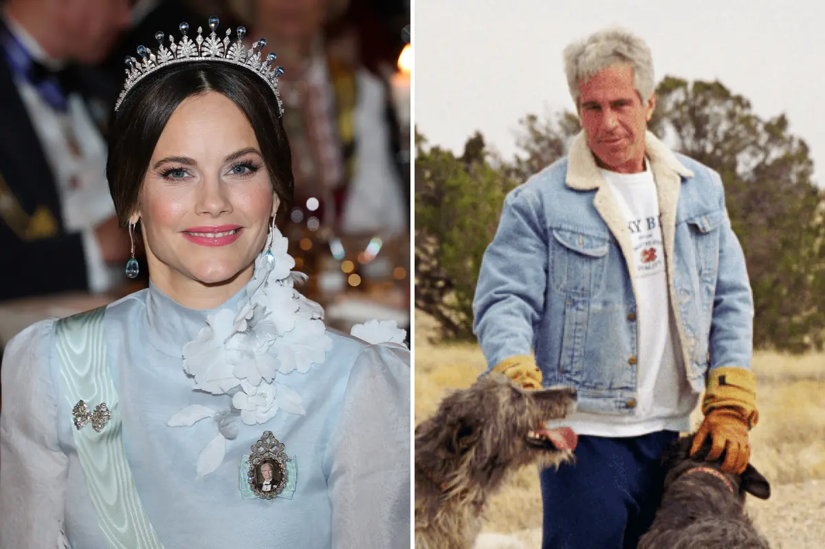 Princess Sofia of Sweden speaks out about her link to Jeffrey Epstein.
