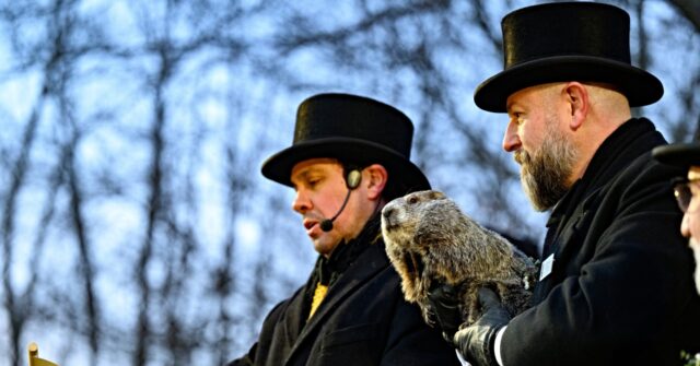 Punxsutawney Phil Set to Predict at Gobbler’s Knob