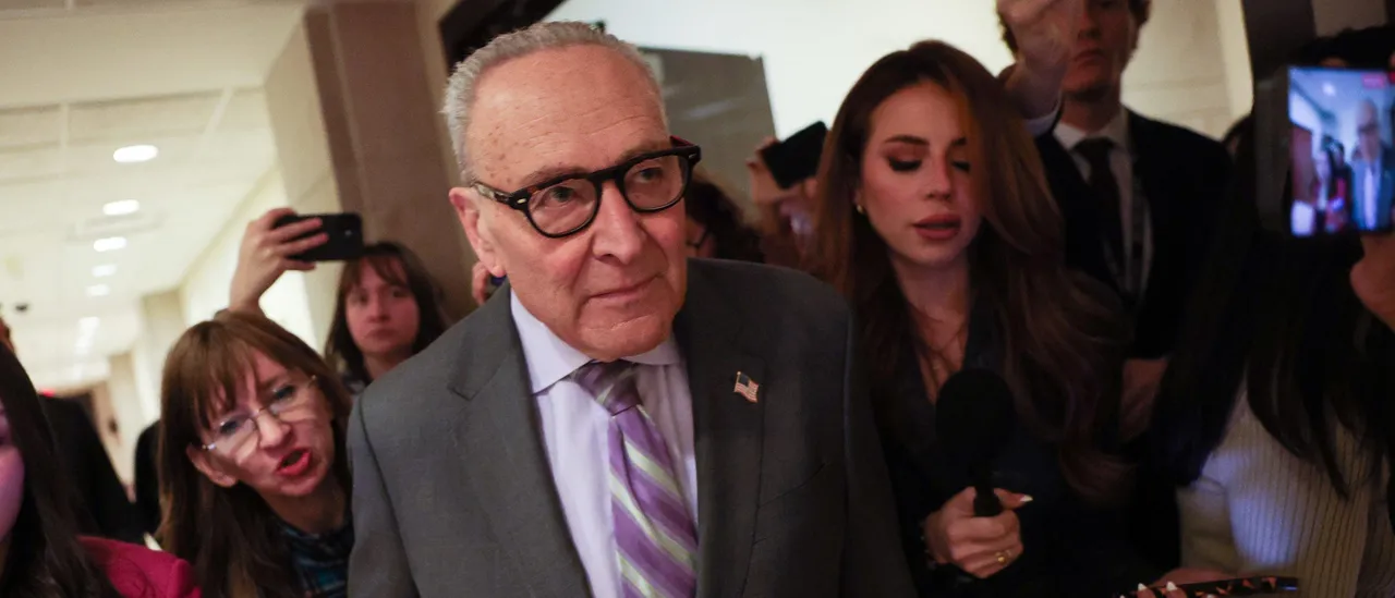 Schumer Refuses to Talk About DHS Reforms Even as He Calls for Negotiations, Republicans Claim