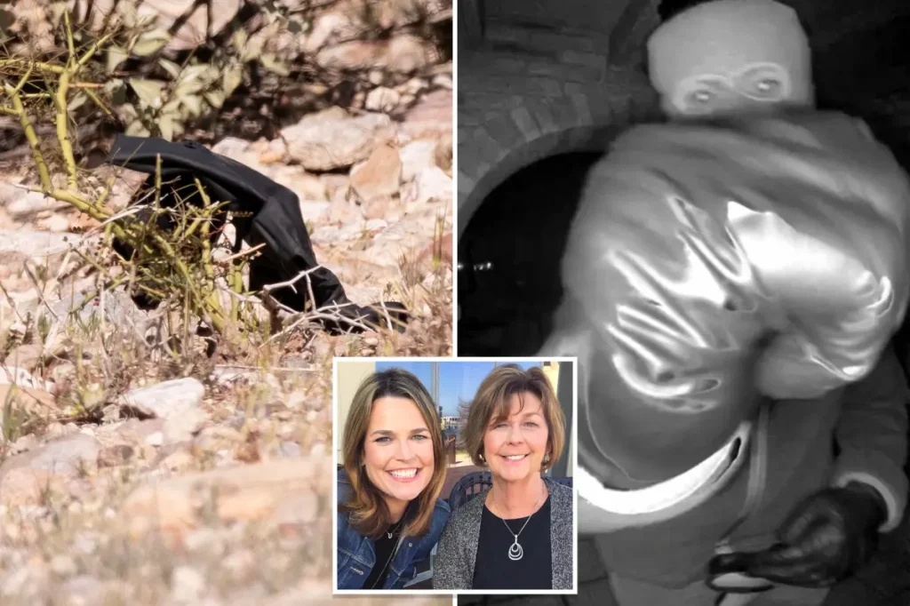 Searchers discover black glove while looking for Nancy Guthrie's abductors