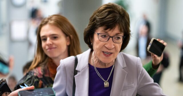 Senator Collins Announces Run for Reelection as Midterm Competition Intensifies