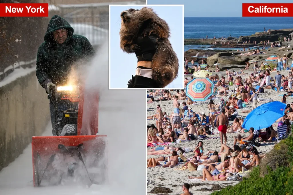 Southern California will experience summer-like weather this week while the rest of the country complains about six more weeks of winter.