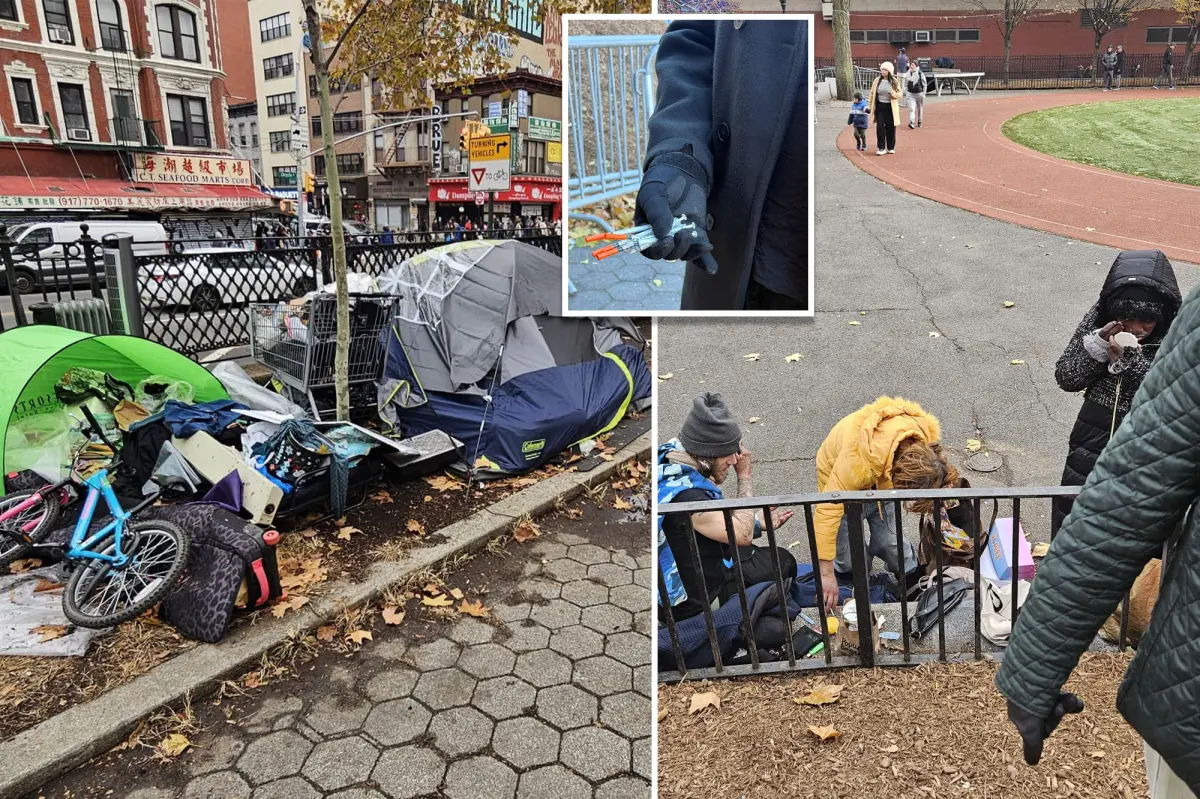 Store owners in NYC report thieves stealing items to trade for drugs: 'It's like a parade'