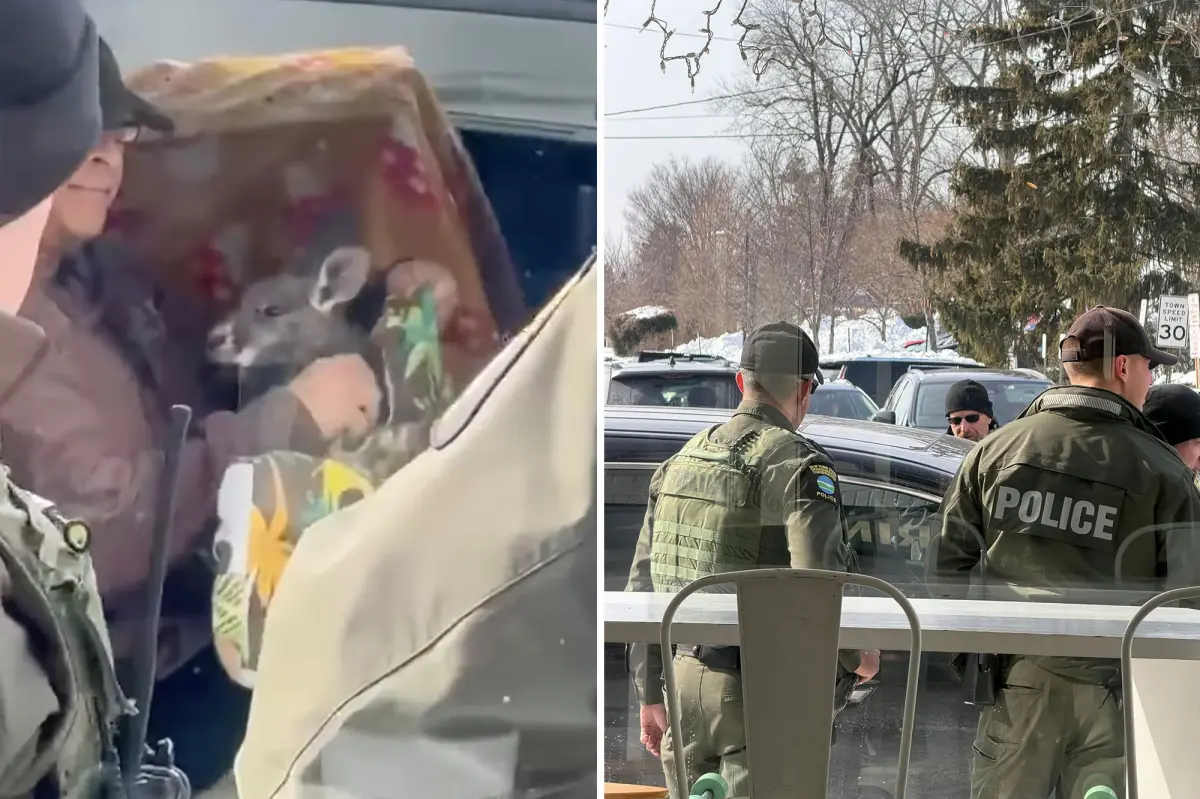 Strange meeting between federal agents and a wild animal owner outside a Long Island coffee shop