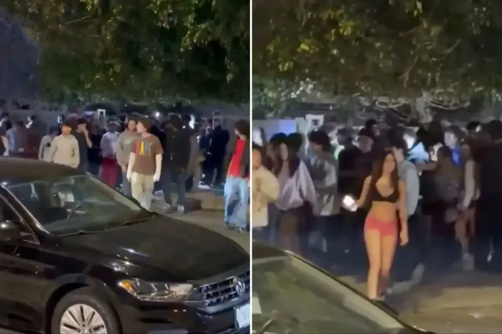 Teenagers in Winnetka and San Fernando Valley vandalize house