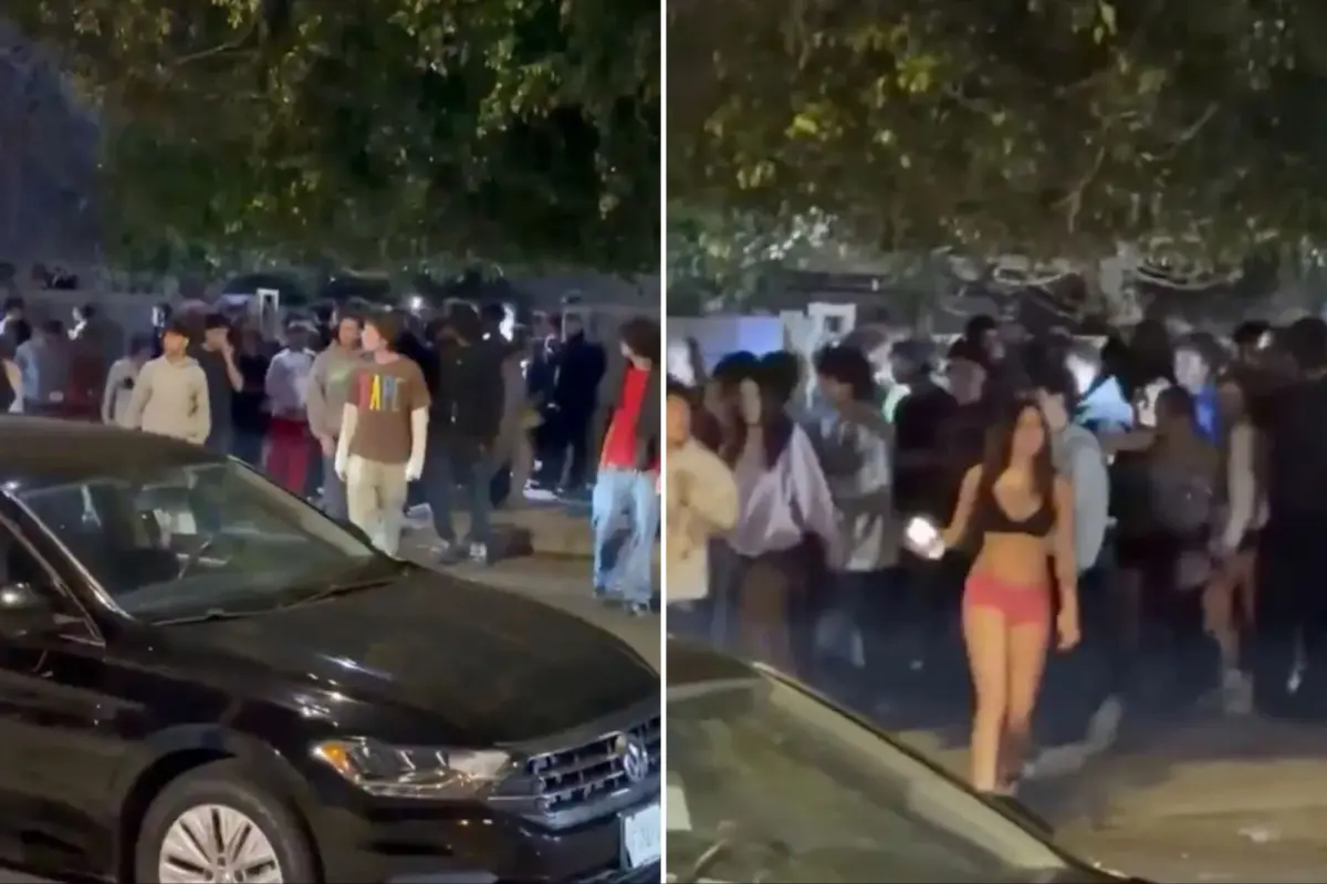 Teenagers in Winnetka and San Fernando Valley vandalize house