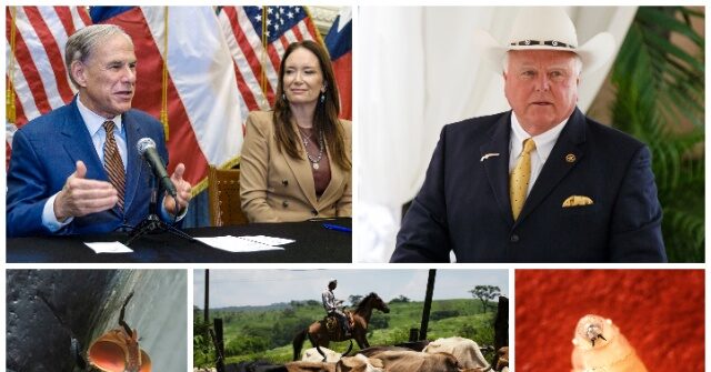 Texas Officials Prepare for Screwworm Danger Moving From Mexico to the Border