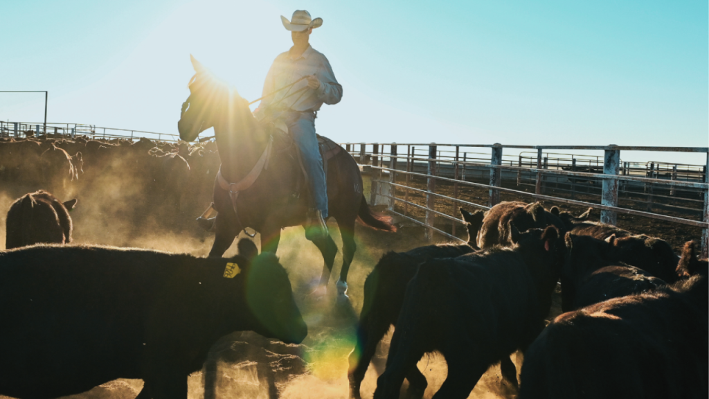 The hidden reason Americans may encounter elevated beef prices for years